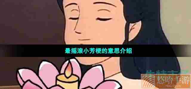 最摇滚小芳梗的意思介绍