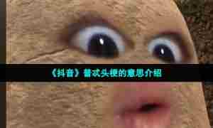 《抖音》普忒头梗的意思介绍