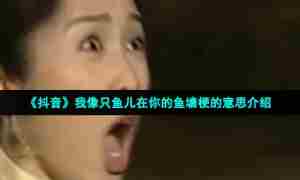 《抖音》我像只鱼儿在你的鱼塘梗的意思介绍