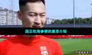 国足吃海参梗的意思介绍