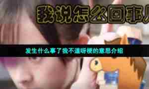 发生什么事了我不道呀梗的意思介绍