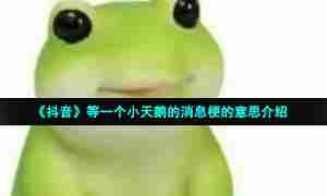 《抖音》等一个小天鹅的消息梗的意思介绍