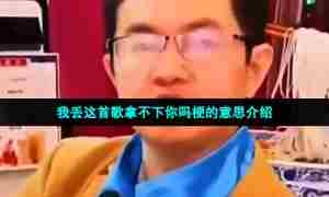 我丢这首歌拿不下你吗梗的意思介绍