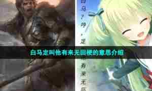 白马定叫他有来无回梗的意思介绍