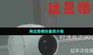 韩见愁梗的意思介绍