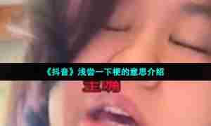 《抖音》浅尝一下梗的意思介绍