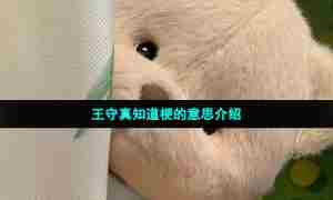 王守真知道梗的意思介绍