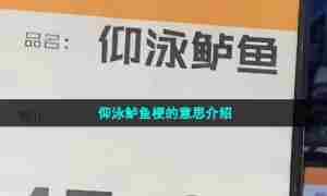 仰泳鲈鱼梗的意思介绍