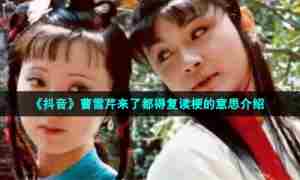 《抖音》曹雪芹来了都得复读梗的意思介绍