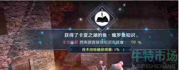 《<a href=https://www.wxsxzz.cn/game/2578.html target=_blank class=infotextkey>黑色沙漠</a>手游》卡亚之湖雅罗鱼位置