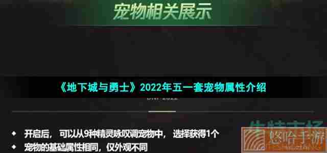 《地下城与勇士》2022年五一套宠物属性介绍