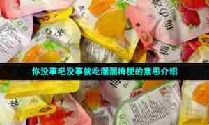 你没事吧没事就吃溜溜梅梗的意思介绍