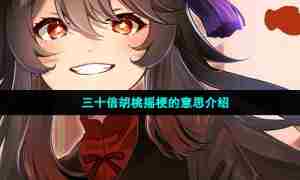 三十倍胡桃摇梗的意思介绍