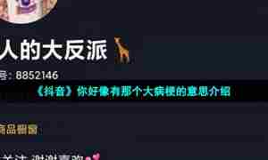 《抖音》你好像有那个大病梗的意思介绍