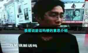 我能说脏话吗梗的意思介绍