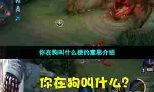 你在狗叫什么梗的意思介绍