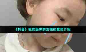 《抖音》我的怨种男友梗的意思介绍