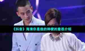 《抖音》海清你是我的神梗的意思介绍