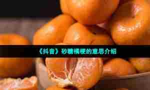 《抖音》砂糖橘梗的意思介绍