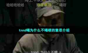 tnnd喝为什么不喝梗的意思介绍
