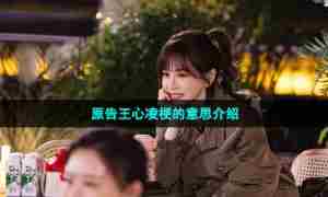 原告王心凌梗的意思介绍