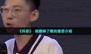 《抖音》 我删掉了梗的意思介绍