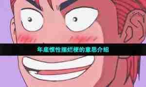 年底惯性摆烂梗的意思介绍