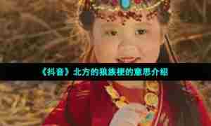 《抖音》北方的狼族梗的意思介绍