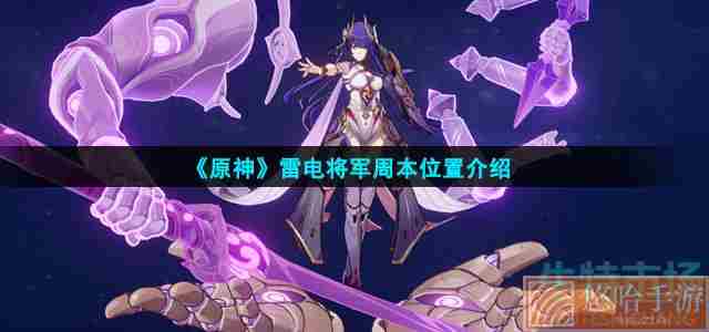 《<a href=https://www.wxsxzz.cn/game/627.html target=_blank class=infotextkey>原神</a>》雷电将军周本位置介绍