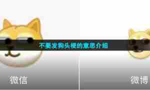 不要发狗头梗的意思介绍
