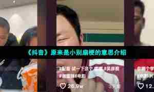 《抖音》原来是小别扇梗的意思介绍