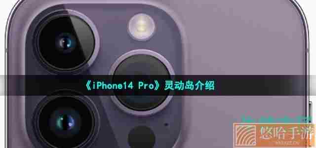 《iPhone14 Pro》灵动岛介绍