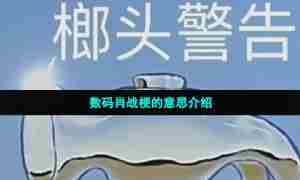 《哔哩哔哩》数码肖战梗的意思介绍