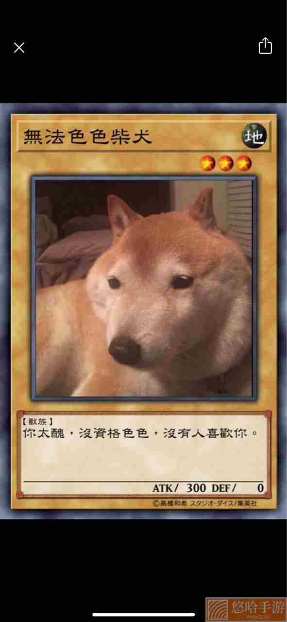 柴犬色色卡表情包大全