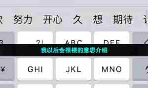 我以后会很梗的意思介绍