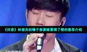 《抖音》林俊杰的嗓子都要嗷冒烟了梗的意思介绍