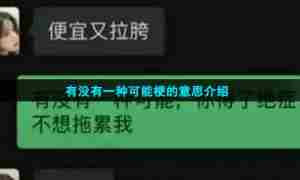 有没有一种可能梗的意思介绍