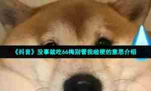 《抖音》没事就吃66梅别管我啦梗的意思介绍