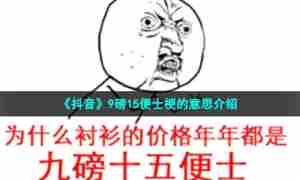 《抖音》9磅15便士梗的意思介绍