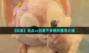 《抖音》有点xx但是不多梗的意思介绍
