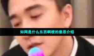 知网是什么东西啊梗的意思介绍