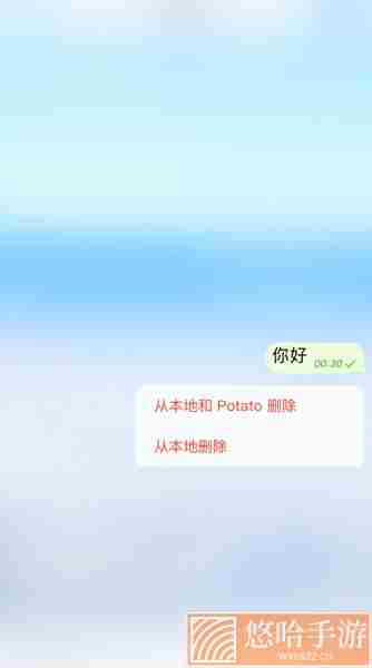 PotatoChat2022最新版