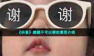 《抖音》燃燃不可以梗的意思介绍
