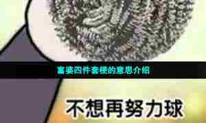 富婆四件套梗的意思介绍