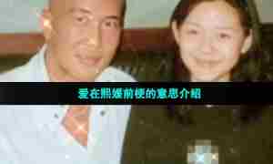 爱在熙媛前梗的意思介绍