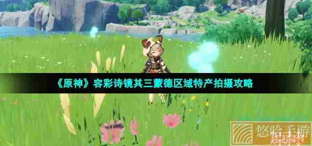 《<a href=https://www.wxsxzz.cn/game/627.html target=_blank class=infotextkey>原神</a>》容彩诗镜其三蒙德区域特产拍摄攻略