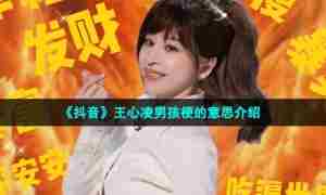 《抖音》王心凌男孩梗的意思介绍