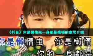 《抖音》你是懒惰虫一身都是痛梗的意思介绍