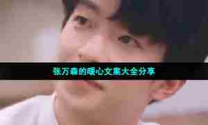 张万森的暖心文案大全分享