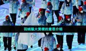 羽绒服大赏梗的意思介绍